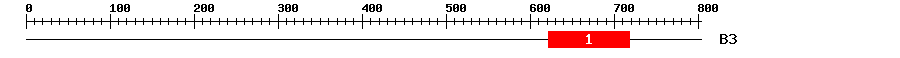 Signature Domain