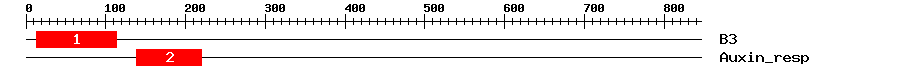 Signature Domain