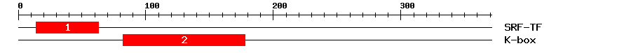 Signature Domain