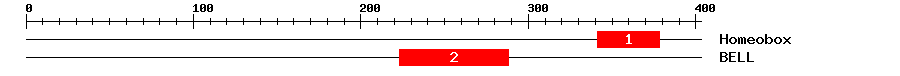 Signature Domain