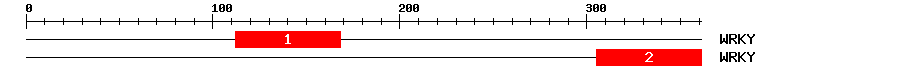 Signature Domain