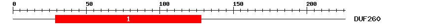 Signature Domain