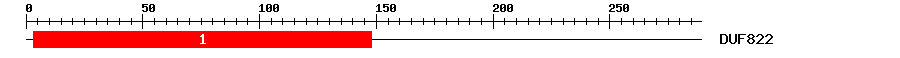 Signature Domain