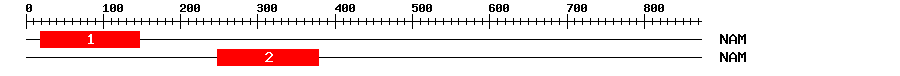 Signature Domain
