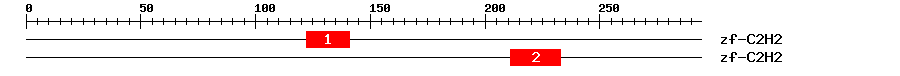 Signature Domain
