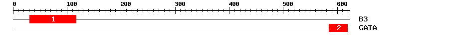 Signature Domain
