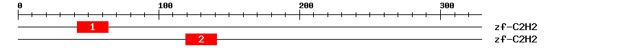 Signature Domain