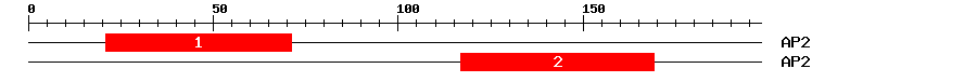 Signature Domain