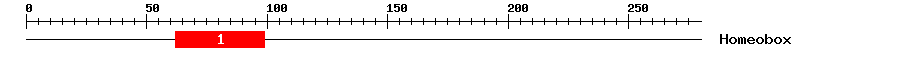 Signature Domain