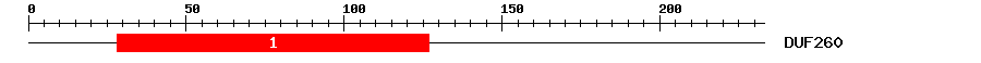 Signature Domain