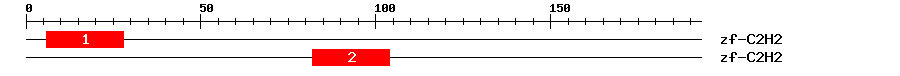 Signature Domain