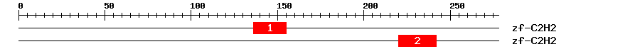Signature Domain