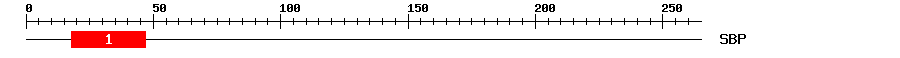 Signature Domain