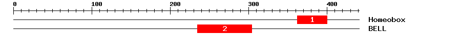 Signature Domain