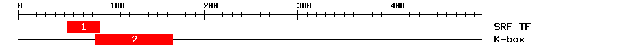 Signature Domain