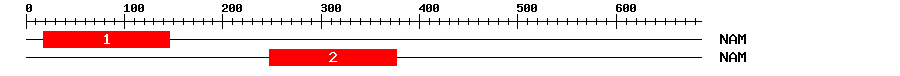 Signature Domain