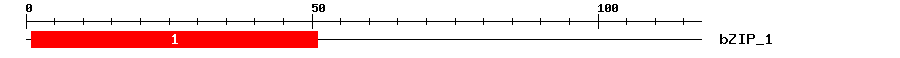 Signature Domain
