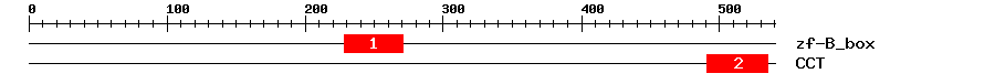 Signature Domain