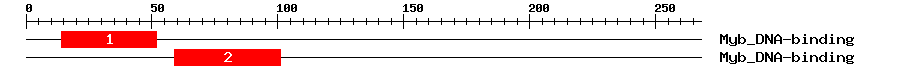 Signature Domain