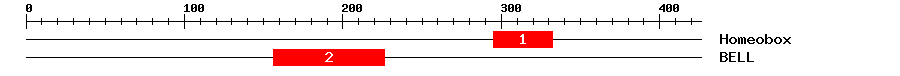Signature Domain