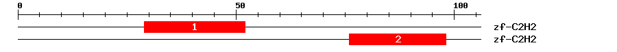 Signature Domain