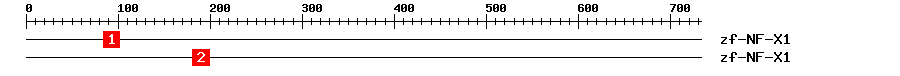Signature Domain