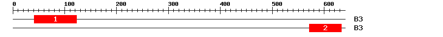 Signature Domain