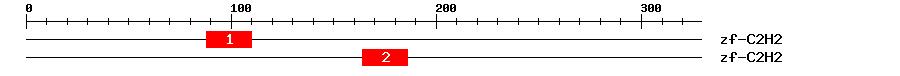 Signature Domain
