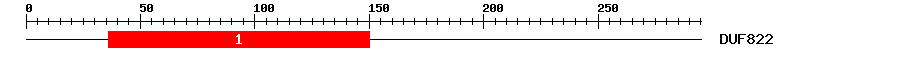Signature Domain