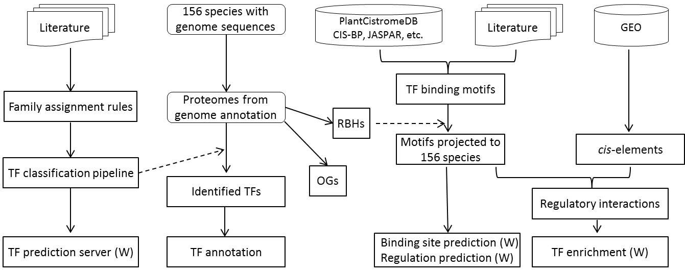The flowchart for construction of PlantTFDB