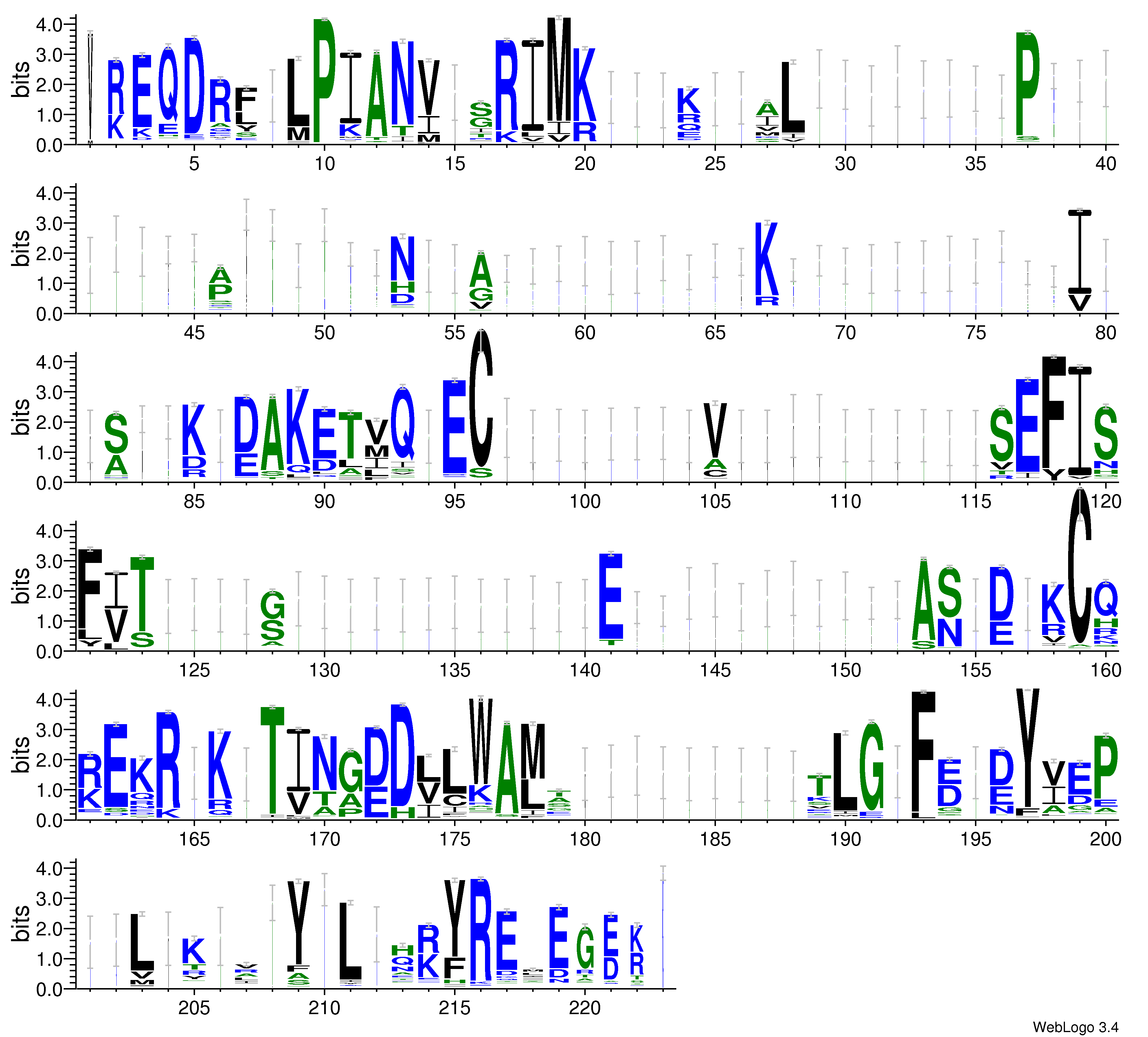 domain alignment logo
